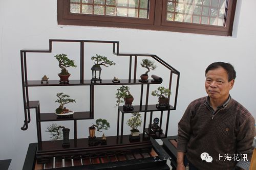 海派奇石小品盆景精美雅致惹人爱 组图