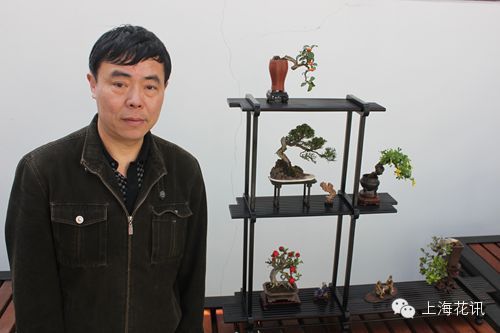 海派奇石小品盆景精美雅致惹人爱 组图