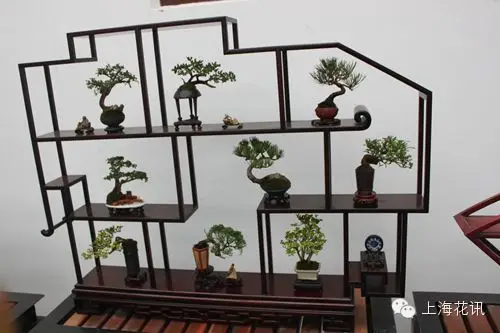海派奇石小品盆景精美雅致惹人爱 组图