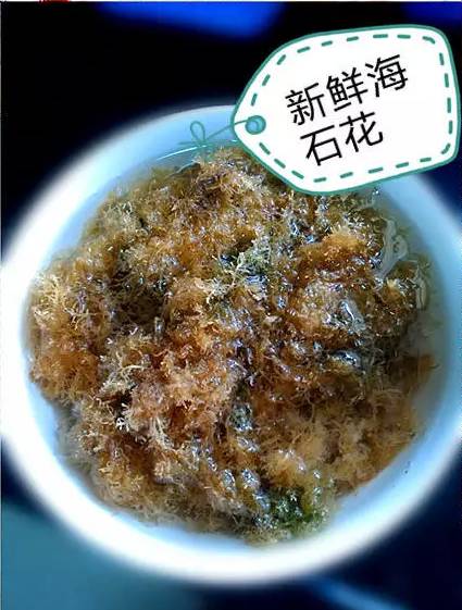 露东西西米是成语吗_西米露是什么东西_网络语西米露什么意思