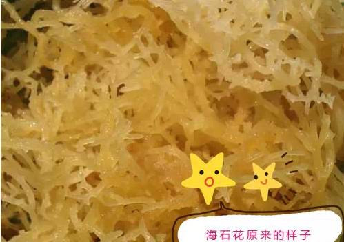 露东西西米是成语吗_网络语西米露什么意思_西米露是什么东西