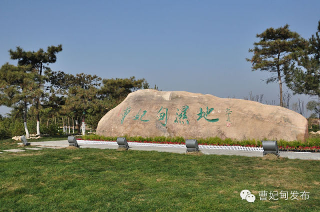 (图2) (图2)