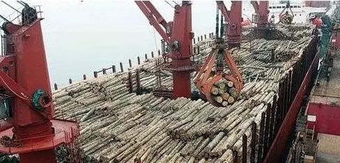 编辑区添加图片模板,点击图片区域可以更换图片。 (图2)