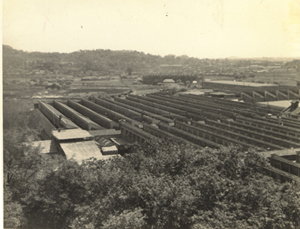 1950年代芜湖四合山砖瓦厂效果图大全农村建别墅自图片