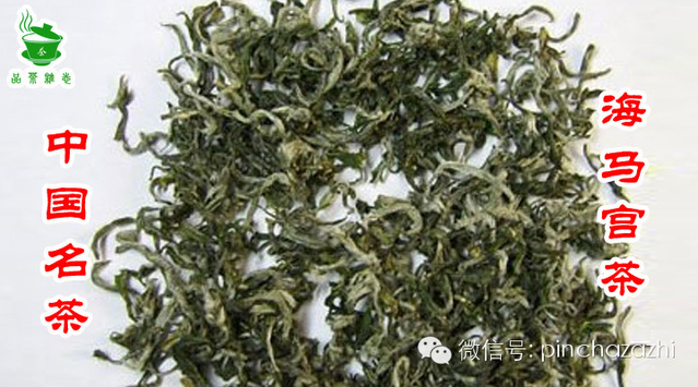 中国名茶:海马宫茶