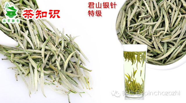 茶知识君山银针的鉴别方法