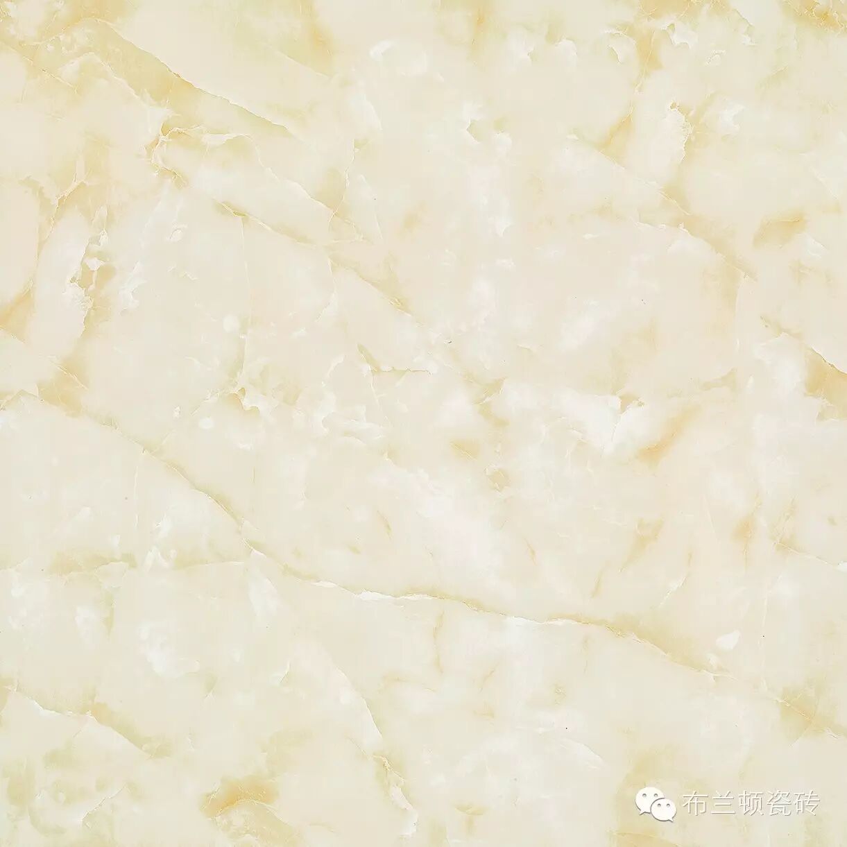 BHP8069 浪漫满屋-800x800 副本.jpg