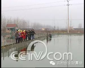 致富经泥鳅养殖_致富经泥鳅养殖_致富经泥鳅养殖