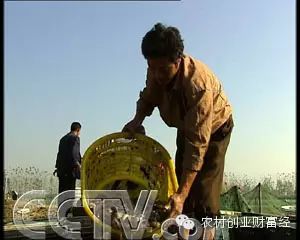 致富经泥鳅养殖_致富经泥鳅养殖_致富经泥鳅养殖