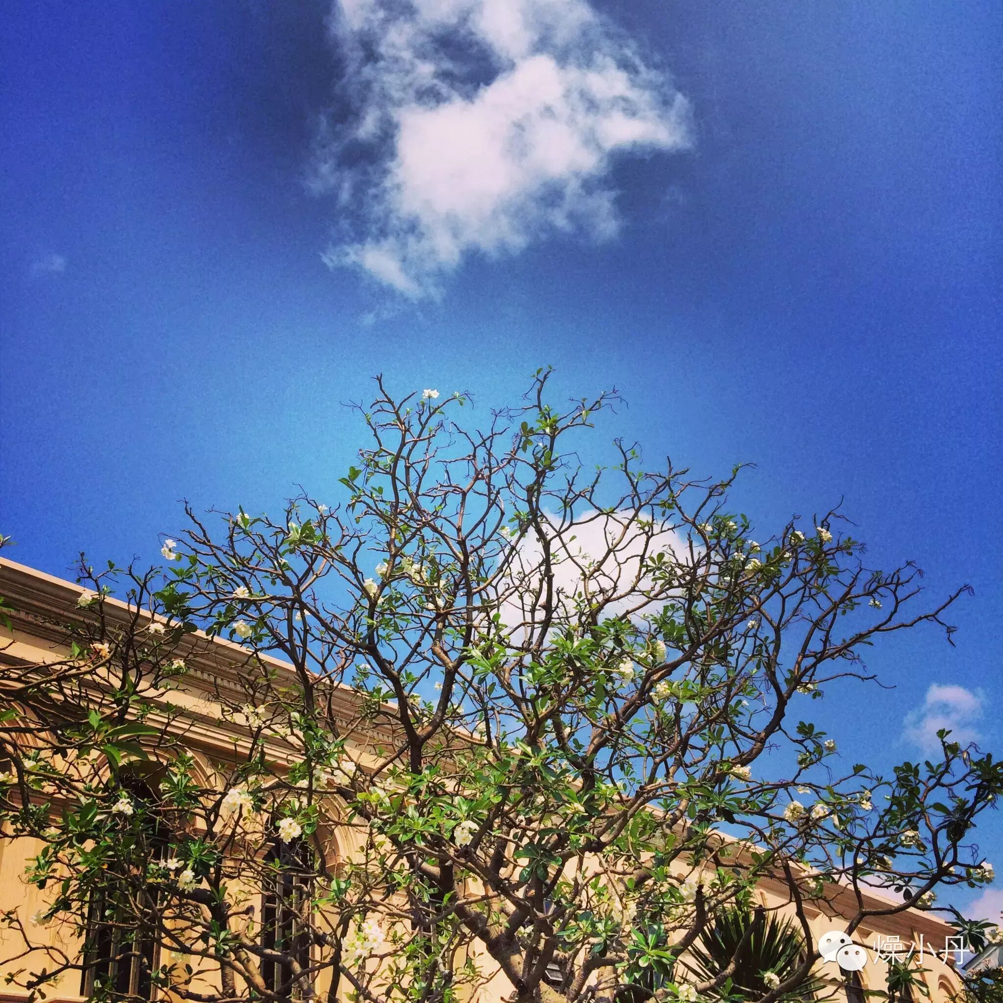 旅行|两次8天7晚泰国自助游攻略（下）