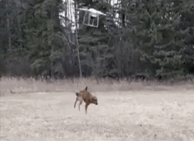 為什么飛無(wú)人機(jī)前要轉(zhuǎn)個(gè)圈圈圈圈？