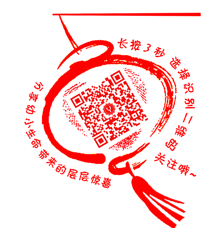 血常规检查不明白?看这里就会了(备孕&怀孕检查单系列之五)-怀孕期