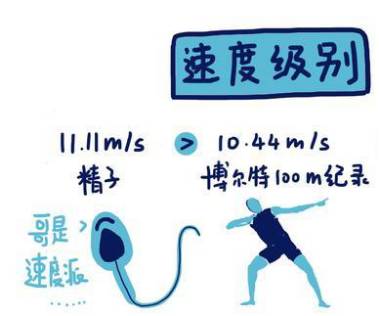 生二胎,别搞笑了,你能行吗?-怀孕期