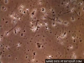 生二胎,别搞笑了,你能行吗?-怀孕期