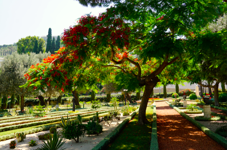 北石：寻觅消失的空中花园，以色列巴哈伊教圣地