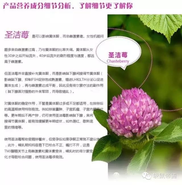 预防乳腺增生:澳洲blackmores vitex 圣洁莓针对不孕调节荷尔蒙多囊