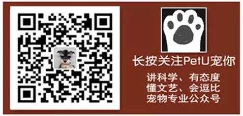 寵物店寵物醫院驚人黑幕！1”