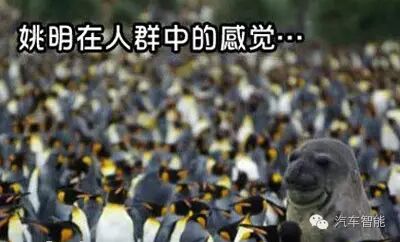 汽车哪个项目好创业_汽车方面创业_汽车方面有什么创业项目