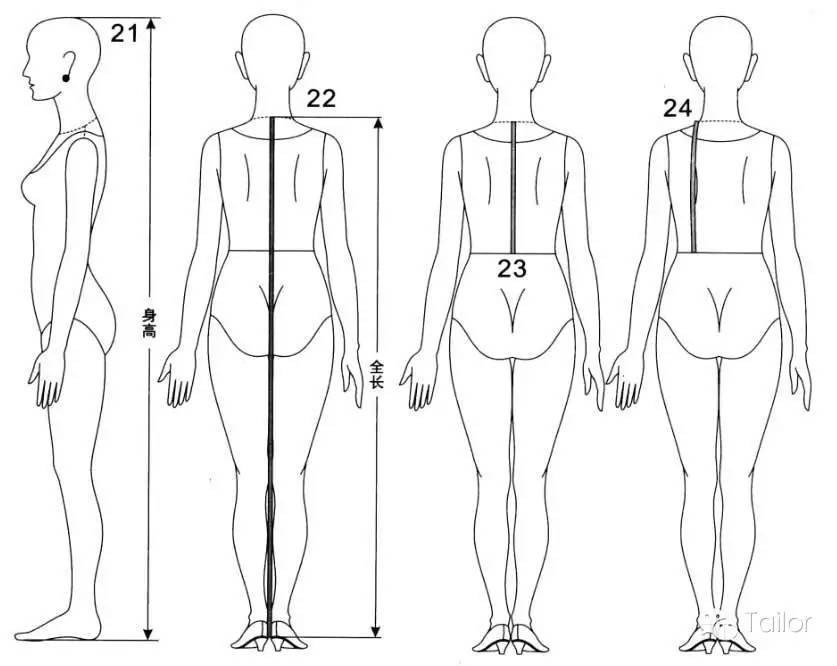 【实用】服装人体尺寸测量全解