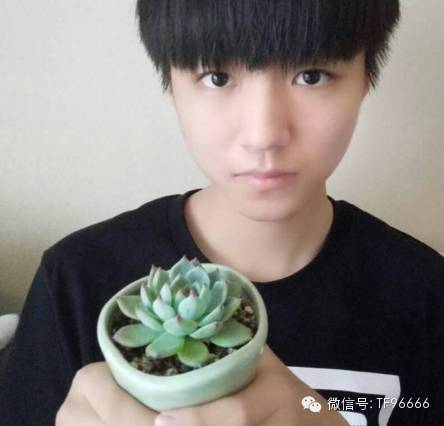 TFBOYS王俊凯 你是打算求包养?