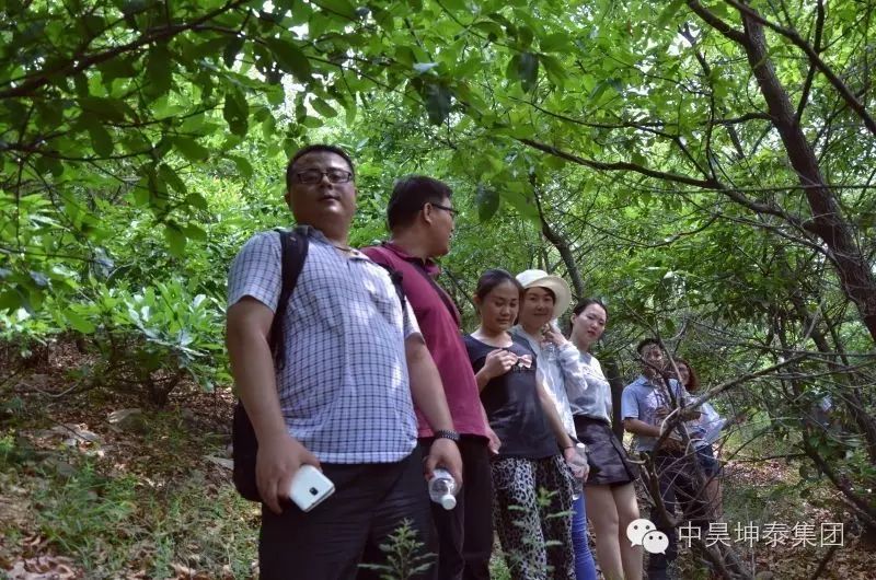 日照市政法委书记刘西良等领导一行莅临中昊坤泰集团-跃龙山旅游综合