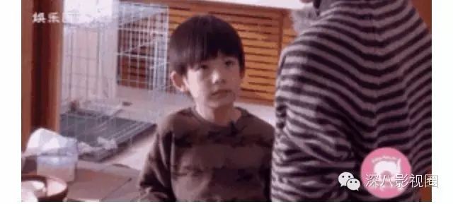 求潘粤明跟董洁复合的都是什么鬼,忘了大明湖畔的王大治...