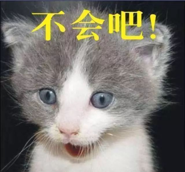 昨天东田丽园小区南门口发生了这样一件事,路过的都惊呆...