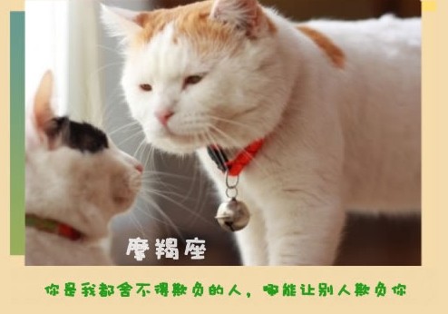 (快乐分享)12星座永远不会说的心里话 - 平凡刺桐 - 平凡刺桐博客 (快乐分享)12星座永远不会说的心里话 - 平凡刺桐 - 平凡刺桐博客