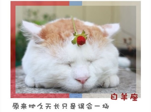 (快乐分享)12星座永远不会说的心里话 - 平凡刺桐 - 平凡刺桐博客 (快乐分享)12星座永远不会说的心里话 - 平凡刺桐 - 平凡刺桐博客