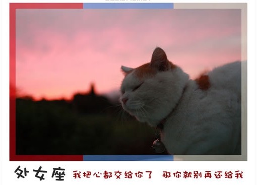 (快乐分享)12星座永远不会说的心里话 - 平凡刺桐 - 平凡刺桐博客 (快乐分享)12星座永远不会说的心里话 - 平凡刺桐 - 平凡刺桐博客