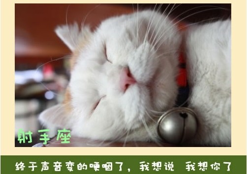 (快乐分享)12星座永远不会说的心里话 - 平凡刺桐 - 平凡刺桐博客 (快乐分享)12星座永远不会说的心里话 - 平凡刺桐 - 平凡刺桐博客