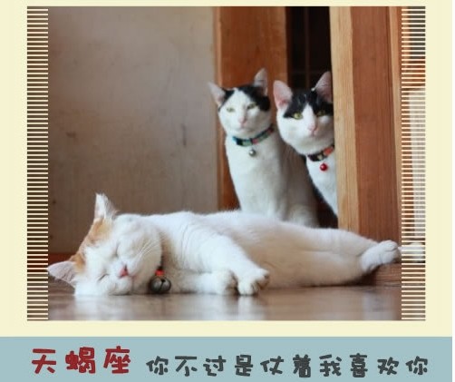 (快乐分享)12星座永远不会说的心里话 - 平凡刺桐 - 平凡刺桐博客 (快乐分享)12星座永远不会说的心里话 - 平凡刺桐 - 平凡刺桐博客
