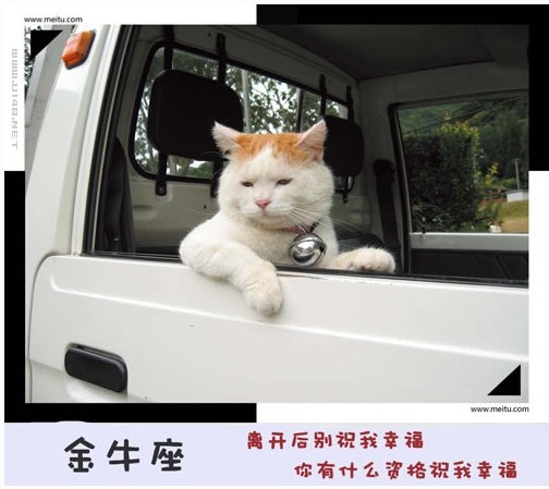 (快乐分享)12星座永远不会说的心里话 - 平凡刺桐 - 平凡刺桐博客 (快乐分享)12星座永远不会说的心里话 - 平凡刺桐 - 平凡刺桐博客