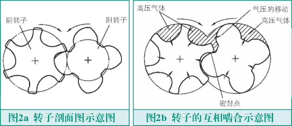 螺杆式压缩机转子故障与检测 | 技术