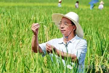 【院士龙江行】谢华安：加强农业水利基础设施建设 提高东北大米、玉米威信