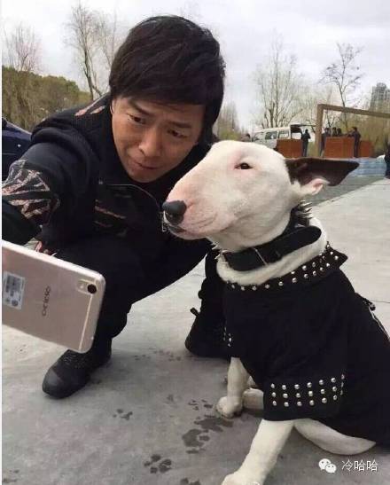 黄渤,孙洪磊,你们为什么要互相伤害,