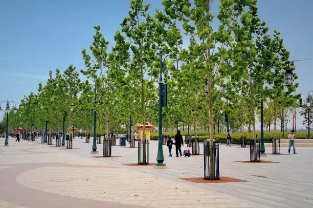 【园林景观】上海迪士尼工程是如何建造的？！10大秘诀值得学习！！