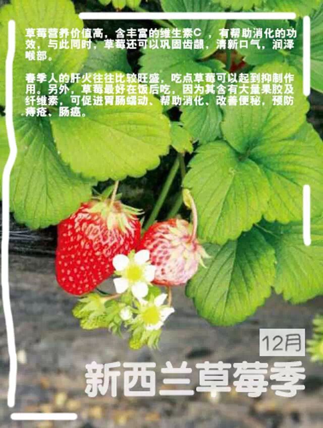 hougarden