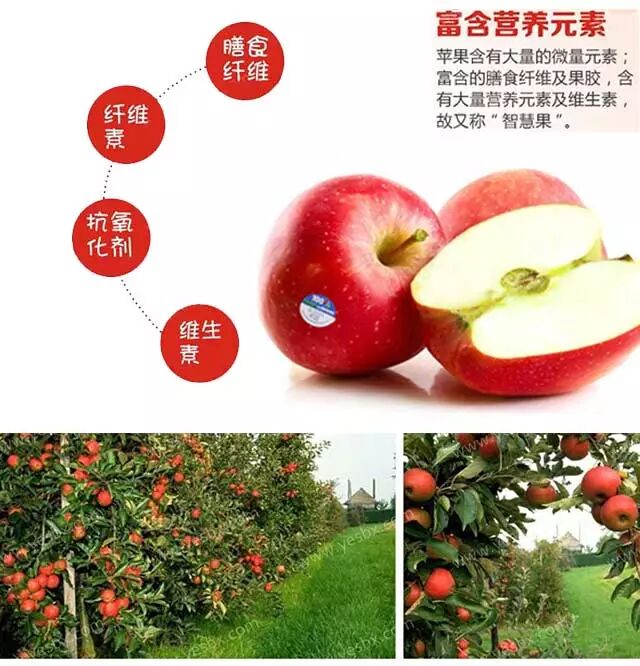 hougarden