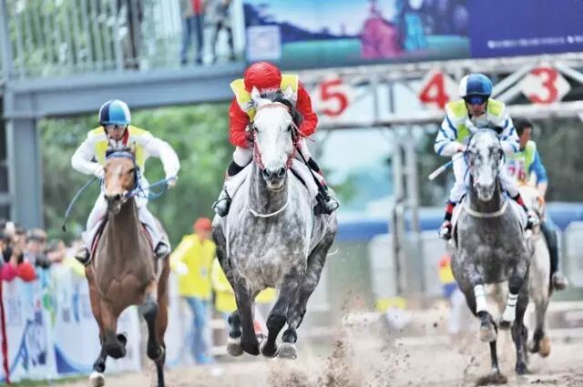 丽江到大理怎么去比较方便_丽江到大理中间有什么玩的_大理丽江怎么走