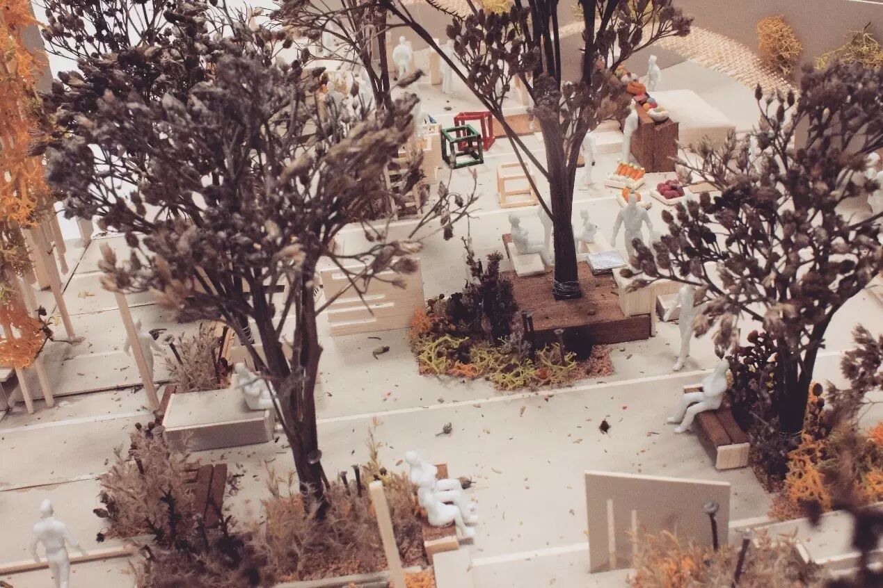 促进生态景观可持续发展的综合方法研究