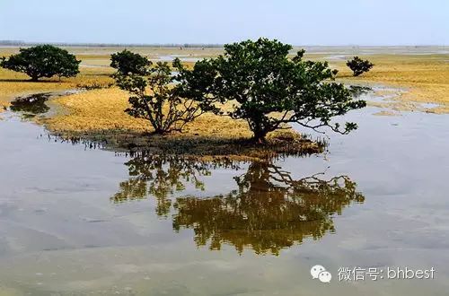转载:北海艳照门!请备好硬盘! - 秋博子奥 - 秋博子奥的博客 转载:北海艳照门!请备好硬盘! - 秋博子奥 - 秋博子奥的博客