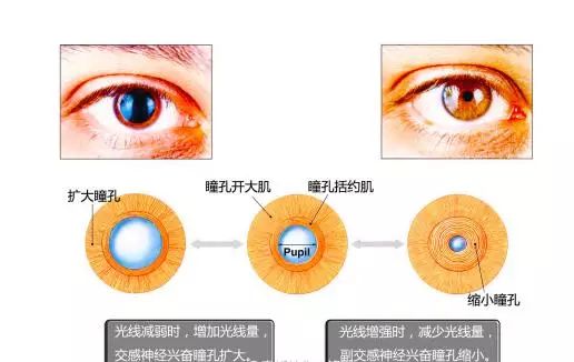 影响近视防控效果的主要因素！近视防控你做对了吗？