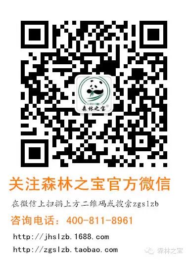 【中国森林之宝】红楤木 <wbr>老虎刺皮 <wbr>葱木 <wbr>鸟不踏 <wbr>楤木 <wbr>忽木 <wbr>去风湿 <wbr>