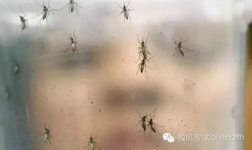 想生二胎?今年要做好防蚊工作!-怀孕期