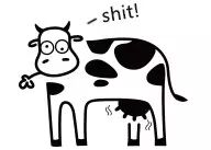 【开放二胎】掐指一算,您家熊孩子命里缺“金”-怀孕期