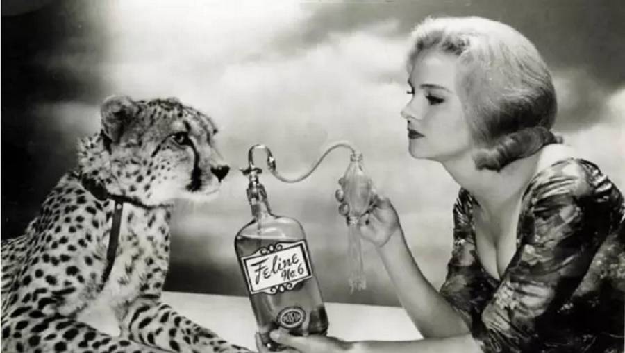 一见钟情前,我们都是彼此的性幻象