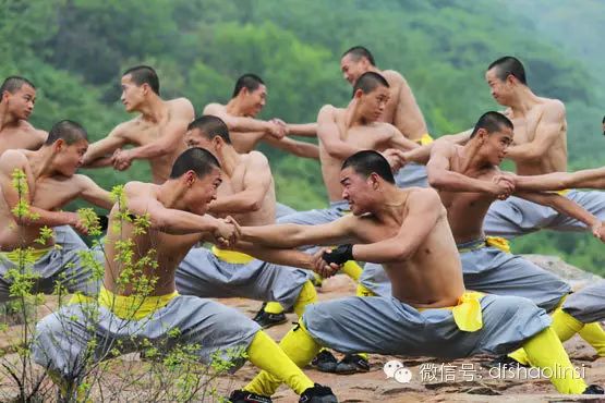 少林延鲁武术学校禅拳文化表演团训练一瞥