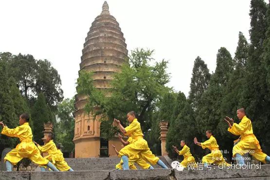 少林延鲁武术学校学员在著名的嵩岳寺塔下练功