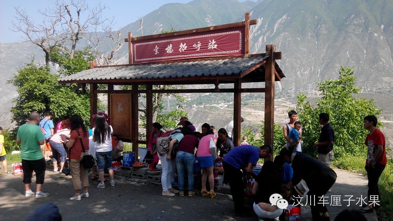 这才是真正的汶川车厘子！教你一眼识破那些冒充的水果